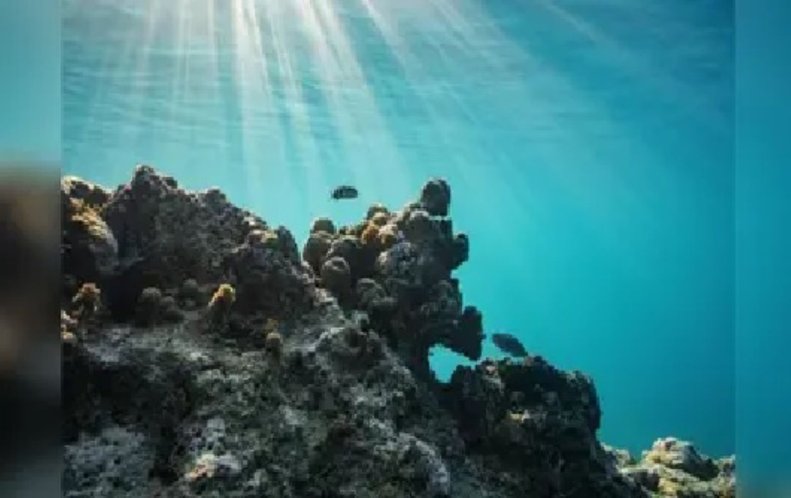 World’s first legally binding High Seas treaty came into force